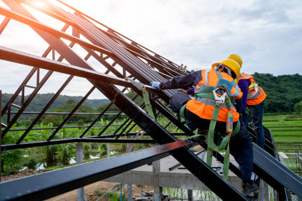 Best Residential Roofing Contractor  in Wliamsvle, IL