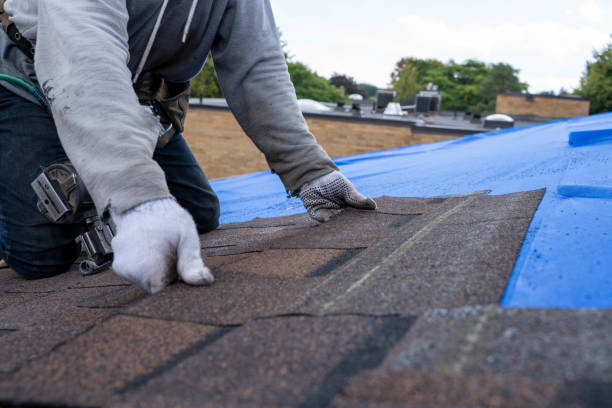 Best Roof Restoration Services  in Wliamsvle, IL