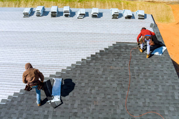 Best Roof Maintenance Services  in Wliamsvle, IL