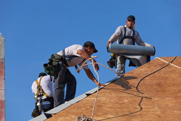 Best Commercial Roofing Services  in Wliamsvle, IL