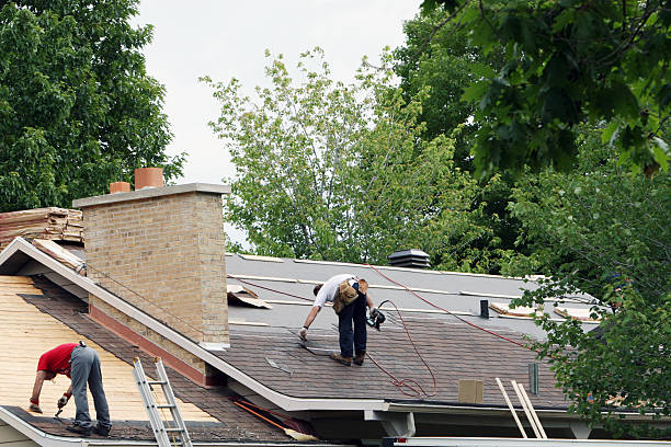 Best Roof Restoration Services  in Wliamsvle, IL