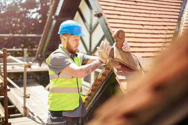 Best Commercial Roofing Services  in Wliamsvle, IL