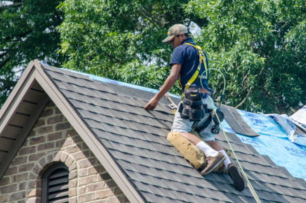 Best New Roof Installation  in Wliamsvle, IL